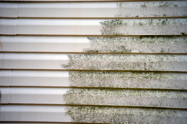 Best Shed Removal  in Bedford, IN